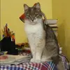 Отзыв от Алеся Розанова